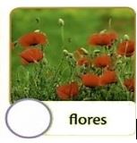 flor