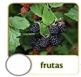 fruta